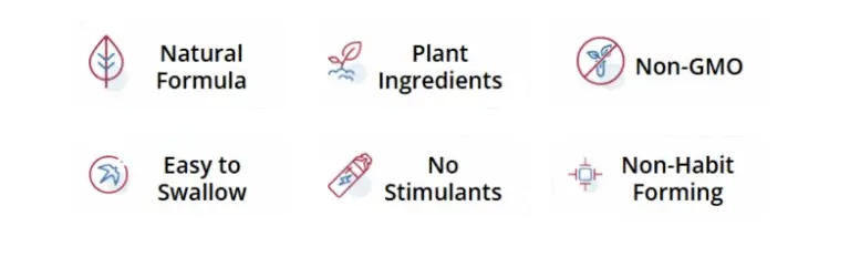 zeneara_reviews_ingredients_2